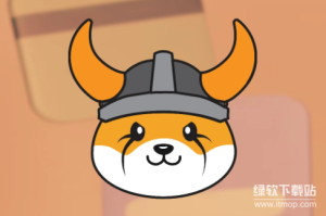 Floki币是什么类型的加密货币？投资价值与发展前景分析
