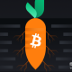 Taproot升级是什么？涉及哪些内容？如何改善比特币网络？