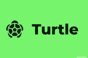 TURTLE币是什么？它如何充当DeFi生态中的“投资银行”协调层？