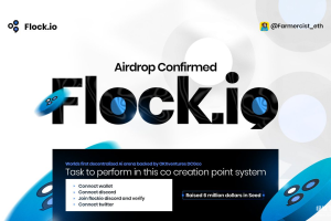 FLock.io是什么？它如何实现去中心化的AI训练？