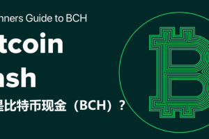 比特币现金BCH值得买吗