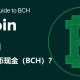 比特币现金BCH值得买吗