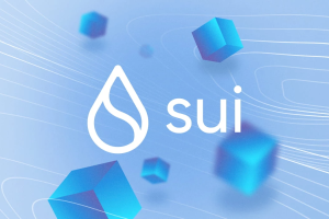 Sui币的Move语言集成特点是什么？它如何保障智能合约的安全执行？
