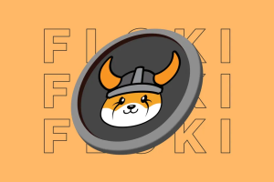 什么是FLOKI币的跨链功能？它支持哪些主流区块链网络？