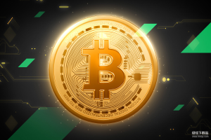 比特币是一种价值储存手段吗？它如何与黄金类比？