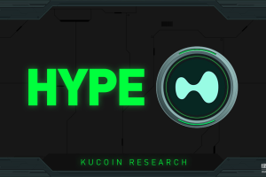 什么是HYPE币的交易机制？它如何实现零手续费交易？