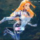 SIREN币高交易量是真机会吗？其价格波动加剧会崩盘吗？