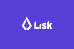LSK币是什么？开发者如何用它构建应用？