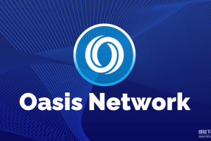 Oasis网络是什么？Oasis区块链如何保护数据隐私？与以太坊有什么不同？