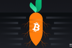 比特币Taproot升级是什么？如何提升隐私与效率？