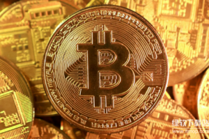 如何查询比特币实时价格？哪些平台的数据最准确？