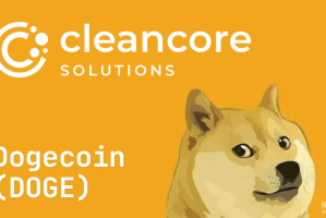 CleanCore狗狗币储备战略为何失败？股价暴跌60%的原因是什么？