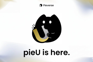 Pverse是什么？其代币PIEVERSE的经济模型与未来前景怎么样？