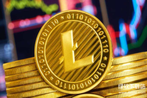 莱特币的玩法是什么？LTC币投资交易教程详解