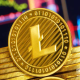莱特币的玩法是什么？LTC币投资交易教程详解