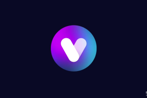 Verse在加密领域指什么？它代表何种协议或生态？