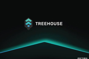 Treehouse提供哪些数据服务？TREE代币价值体现在哪些方面？
