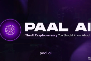 什么是Paal？其发展历程是什么？