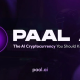 什么是Paal？其发展历程是什么？