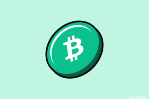 比特币的二次分叉带来了算力大战？BCH分叉后社区为什么陷入分裂？