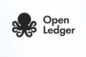 OPEN币的解锁计划是什么？团队与投资者代币是否长期锁定？