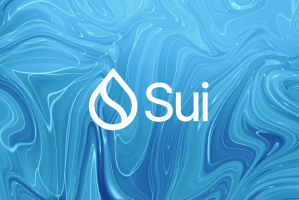 Sui网络的PoS质押过程是什么？验证者如何获得SUI奖励？