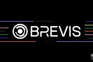 Brevis的Pico Prism技术是什么？为什么能实现以太坊区块的实时证明？