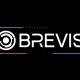 Brevis的Pico Prism技术是什么？为什么能实现以太坊区块的实时证明？