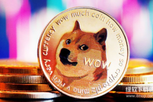 狗狗币和比特币的区别是什么？DOGE币转账快吗？