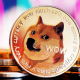 狗狗币和比特币的区别是什么？DOGE币转账快吗？
