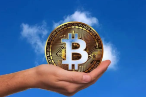 比特币究竟是数字黄金还是投机泡沫