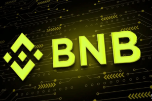 BNB 的价值体现在哪些方面？为什么可以超越简单的交易代币功能？
