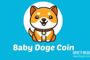 什么是Baby Doge币（BabyDoge）？与狗狗币有什么不同？