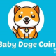 什么是Baby Doge币（BabyDoge）？与狗狗币有什么不同？
