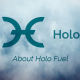 什么是Holo？HOT代币与HoloFuel有什么关系？