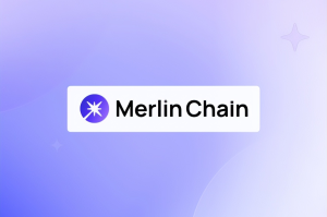 MERL币是什么？核心作用是什么？代币经济学与分配怎么样？
