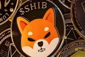OKX怎么提交反馈 OKX意见建议和问题反馈