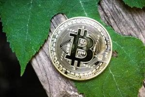 Battle Sports Coin是什么