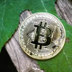 Battle Sports Coin是什么