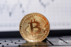 比特币怎样进行交易与使用？初学者应掌握哪些操作指南？