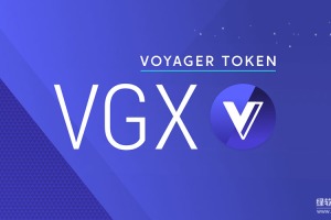 VGX代币是什么？如何让玩家在不同游戏中获得统一奖励？