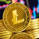 莱特币交易所如何开户？LTC开户最新教程