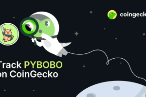PYBOBO币是什么？Web3艺术玩具IP如何运作？