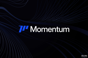 Momentum MMT代币是什么？是否具有长期投资价值？