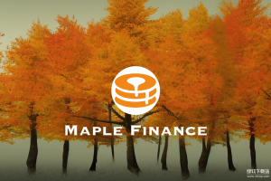 Maple是什么平台？其去中心化借贷流程是什么？有使用案例吗？