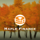 Maple是什么平台？其去中心化借贷流程是什么？有使用案例吗？
