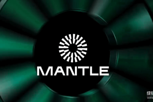 Mantle是什么？其模块化架构如何运作？