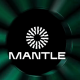Mantle是什么？其模块化架构如何运作？