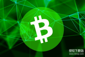 什么是比特币现金？与比特币有什么本质区别？
