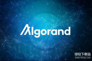 Algorand是由谁创立的？哪些机构支持其生态发展？
